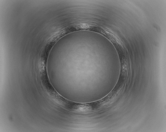 X0000116490555200912091423