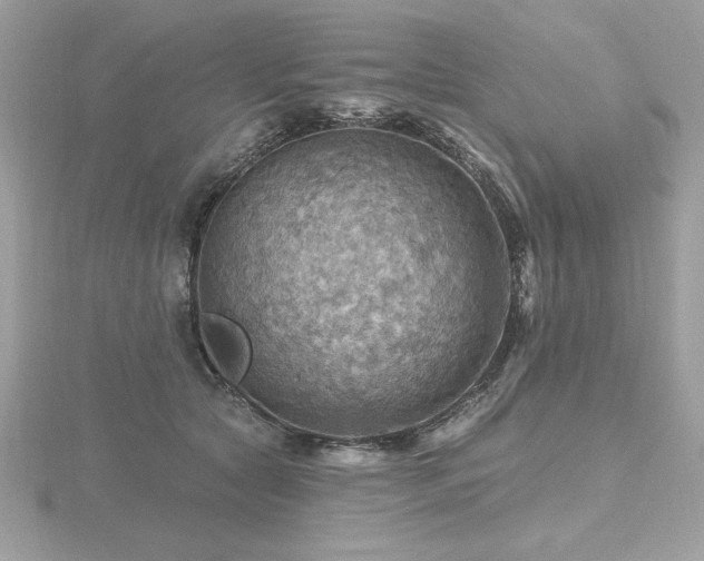 X0000116490561200912091423