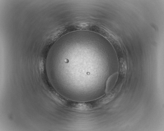 X0000116490562200912091423