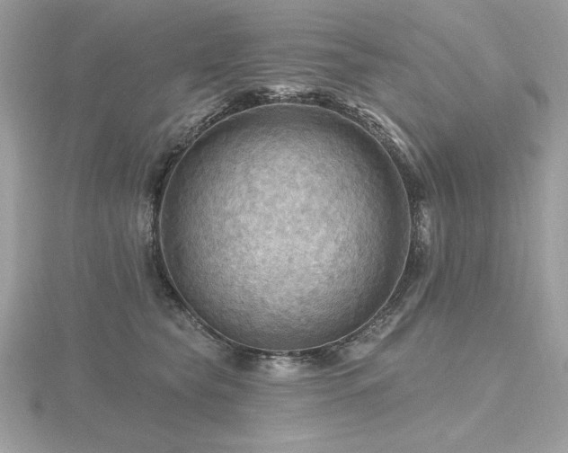 X0000116490565200912091423