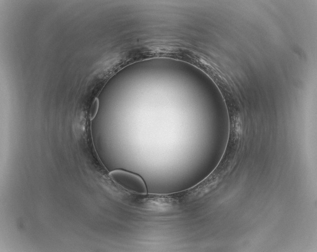 X0000116490567200912091423