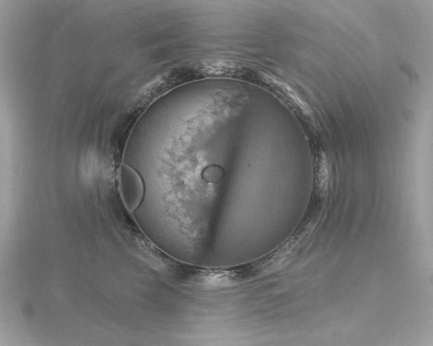 X0000116490569200912091423