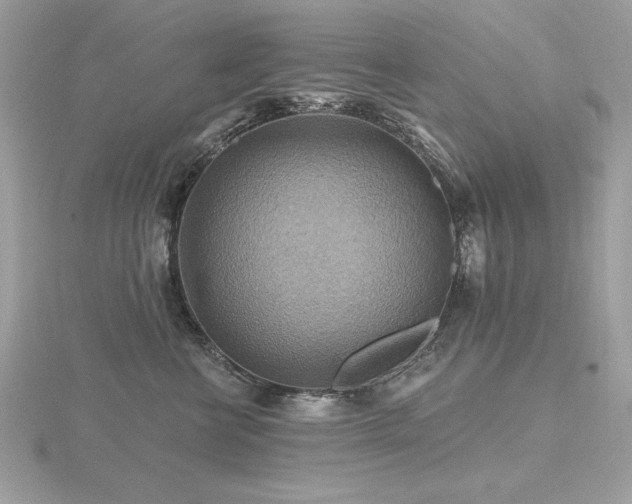 X0000116490570200912091423