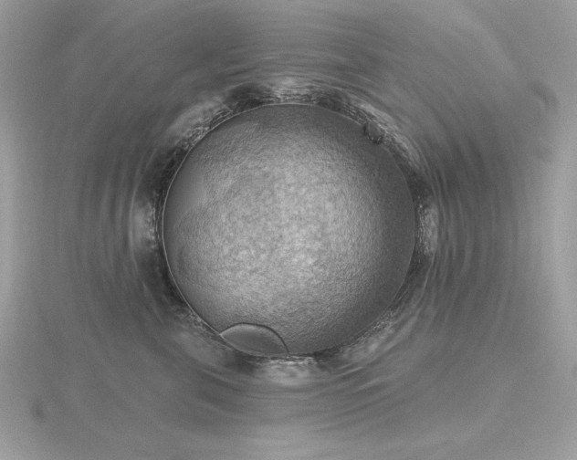 X0000116490571200912091423