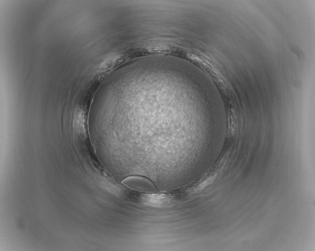 X0000116490575200912091423