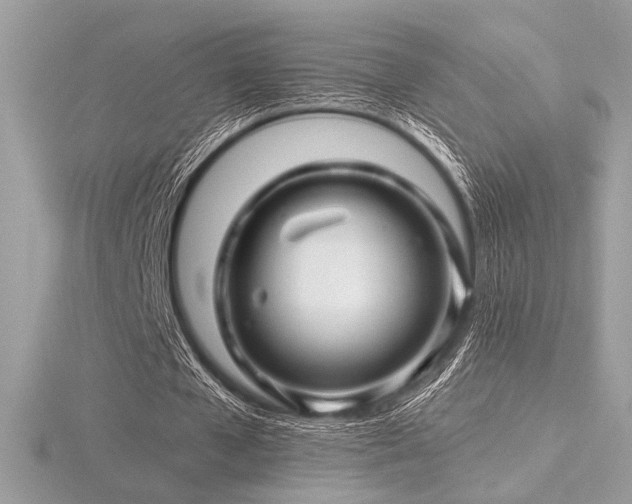 X0000116490577200912091422