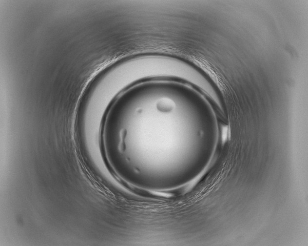 X0000116490579200912091422