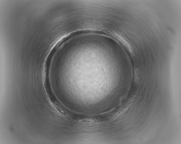 X0000116490580200912091422