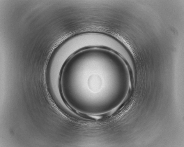 X0000116490581200912091422