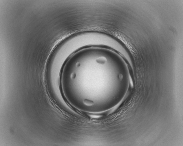 X0000116490583200912091422