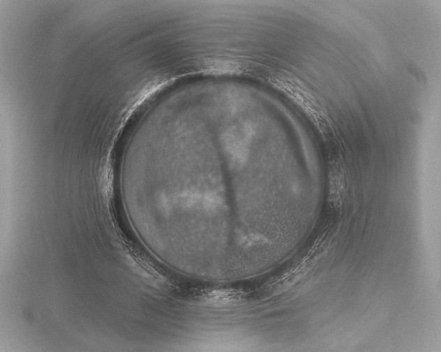 X0000116490584200912091422