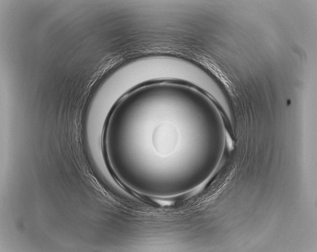 X0000116490585200912091422