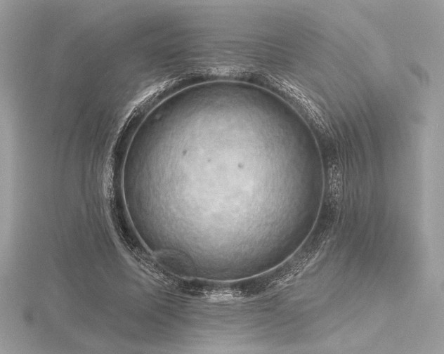 X0000116490587200912091422