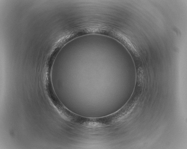 X0000116490590200912091422