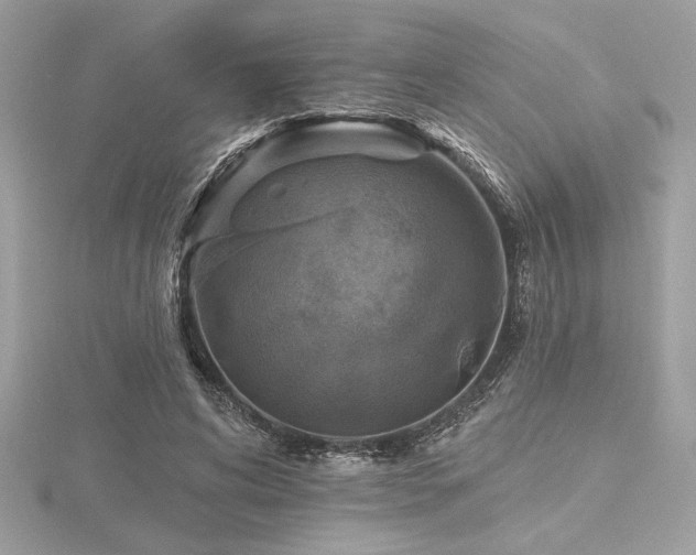 X0000116490592200912091422