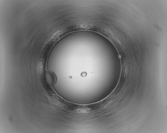 X0000116490595200912091422