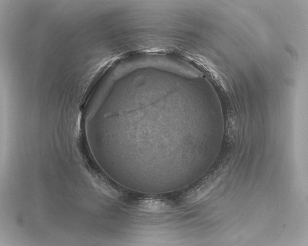 X0000116490596200912091422