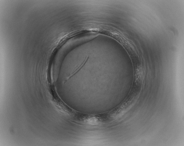 X0000116490600200912091422