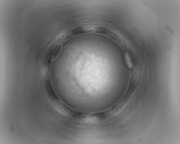 X0000116490601200912091422