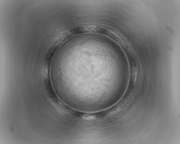 X0000116490602200912091422