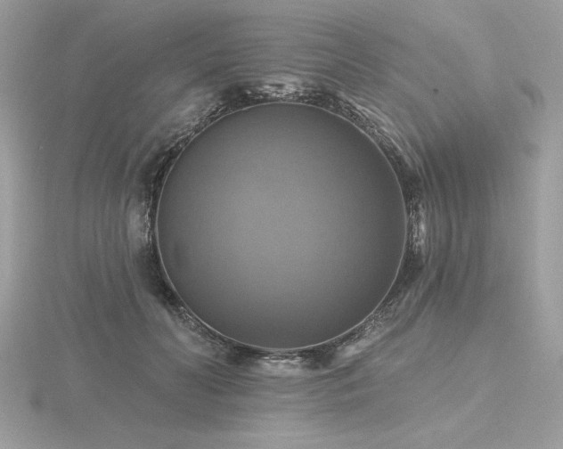 X0000116490606200912091422