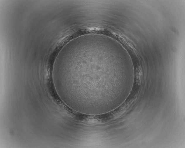 X0000116490608200912091422