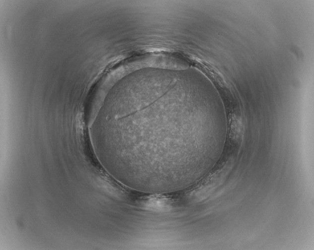 X0000116490612200912091422