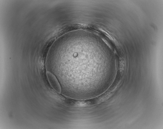 X0000116490613200912091422