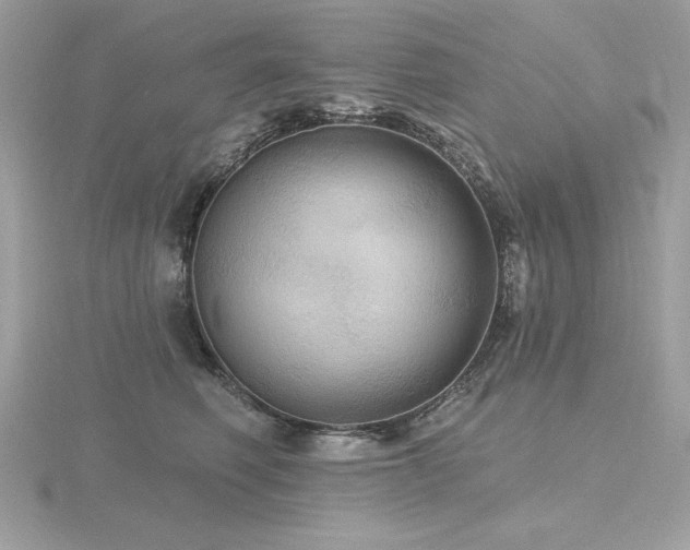 X0000116490614200912091422