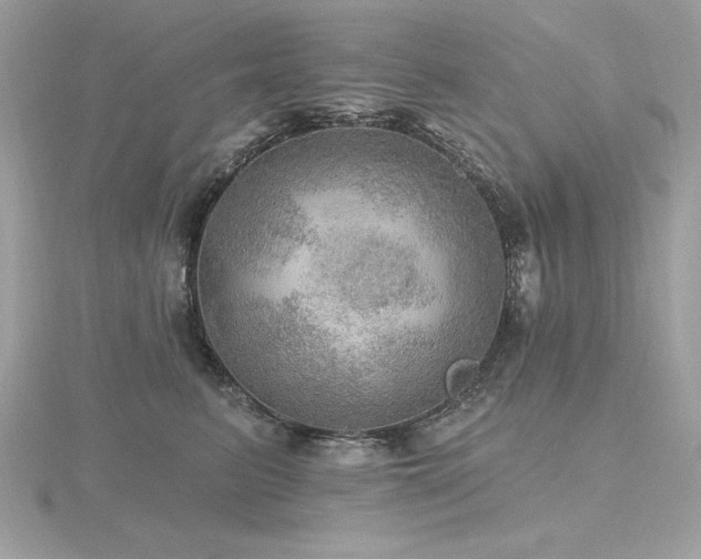 X0000116490615200912091422