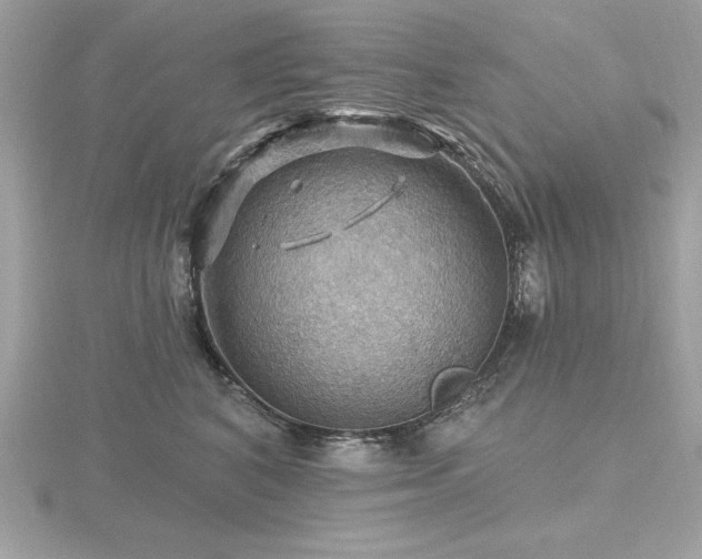 X0000116490616200912091422