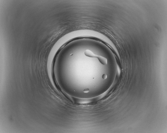 X0000116490617200912091422