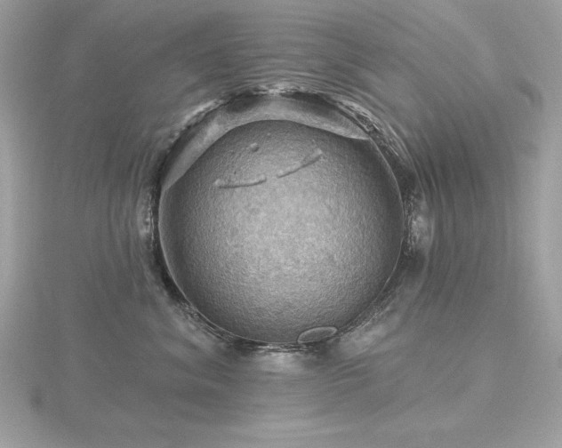 X0000116490620200912091422