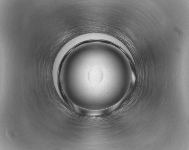 X0000116490621200912091422