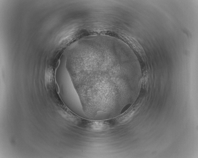 X0000116490623200912091422