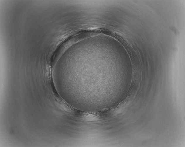 X0000116490624200912091422