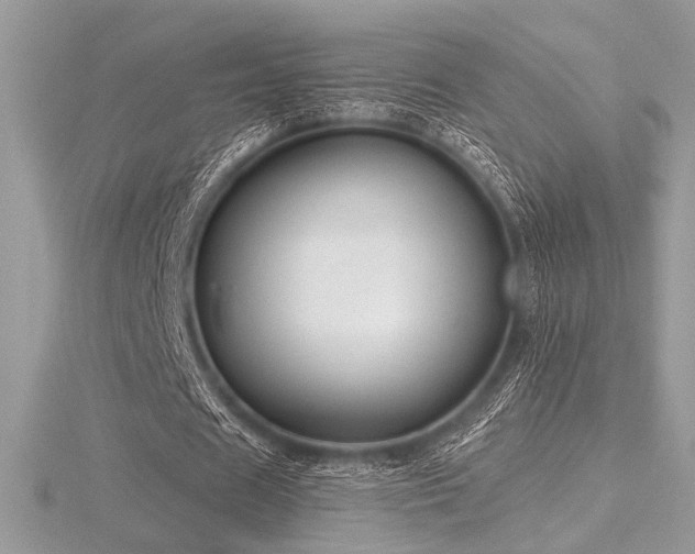 X0000116490625200912091421