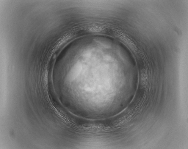 X0000116490626200912091421