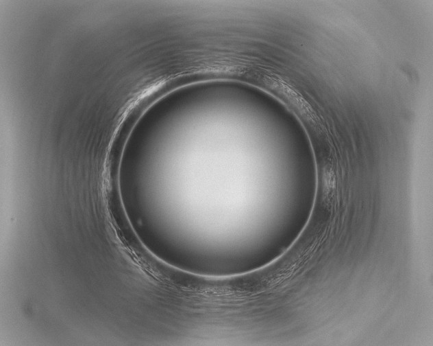 X0000116490628200912091421