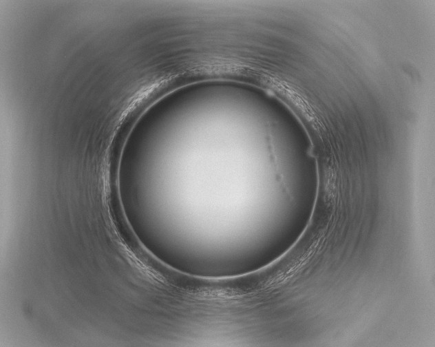 X0000116490629200912091421