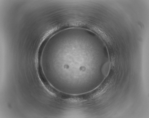 X0000116490630200912091421