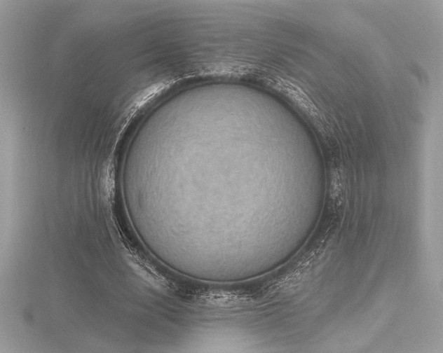 X0000116490632200912091421