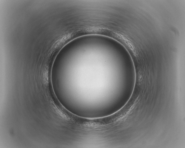 X0000116490633200912091421