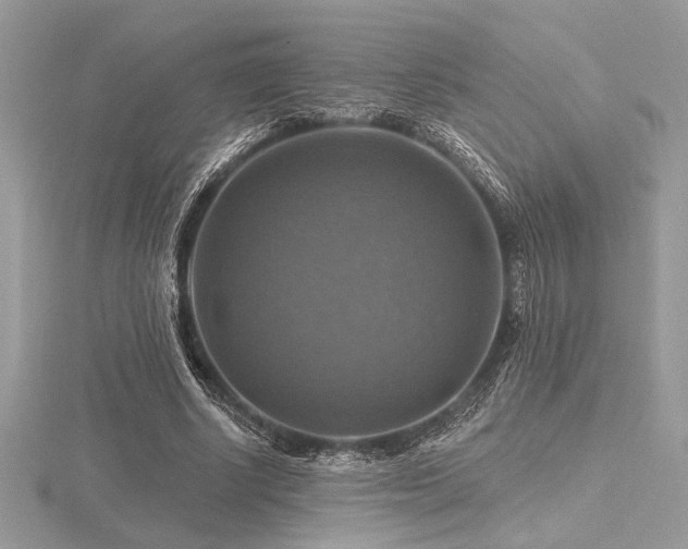 X0000116490634200912091421