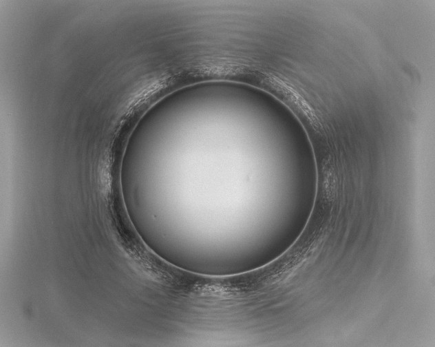 X0000116490635200912091421