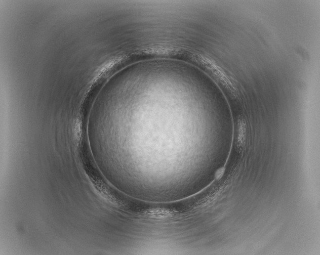 X0000116490636200912091421