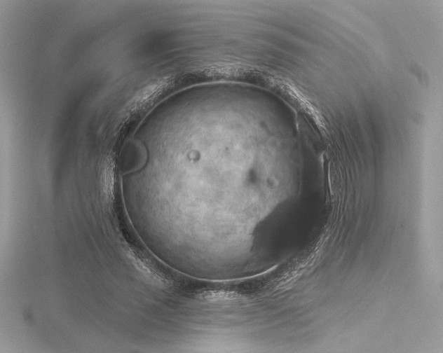 X0000116490637200912091421