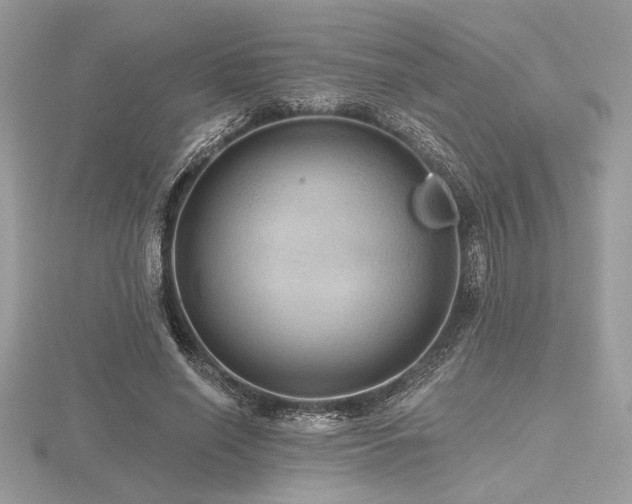 X0000116490638200912091421