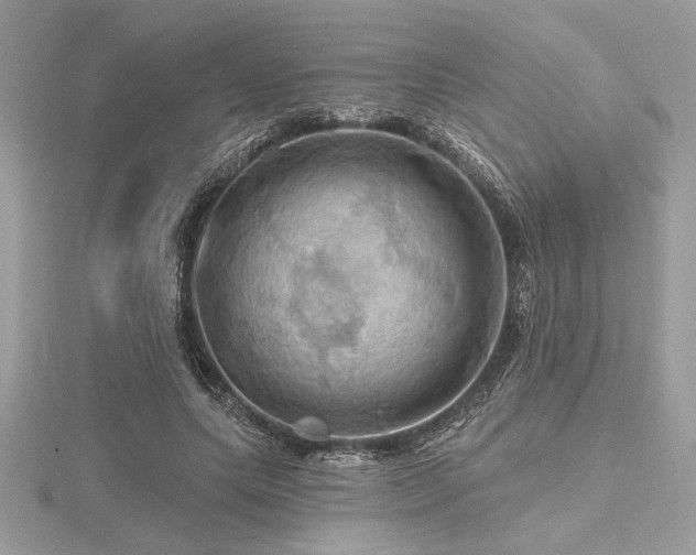 X0000116490639200912091421