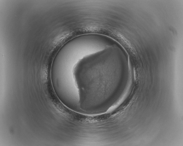 X0000116490640200912091421